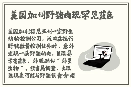 男生女生做差差差的软件